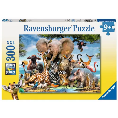 Artikelbild