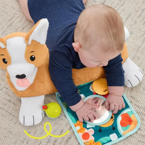 Fisher Price 3-in-1 Puppy Tummy Wedge