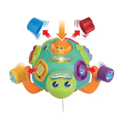 WINFUN Dra med dig sortera och lär sköldpaddan (240301-NL)