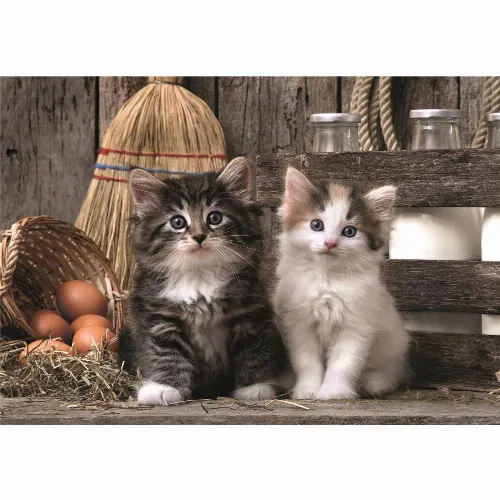 Clementoni Pussel 1000 Pcs CB High Quality Collection Lovely Kittens