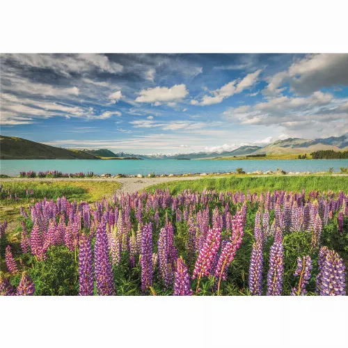 Clementoni Pussel 1500 Pcs CB High Quality Collection Lupins At Lake Tekapo