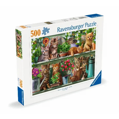 Artikelbild