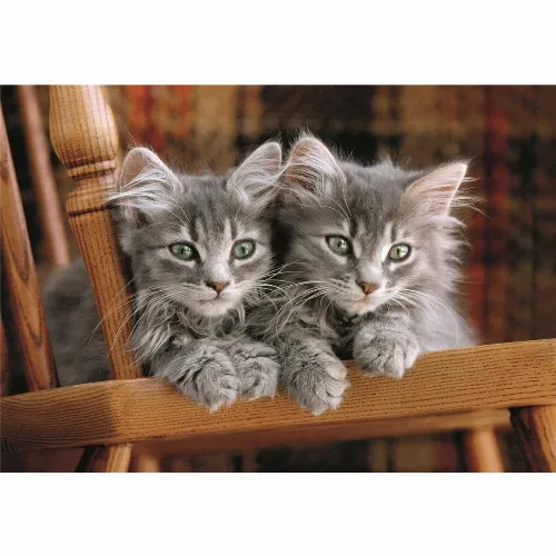 Clementoni Pussel 500 Pcs CB High Quality Collection Kittens