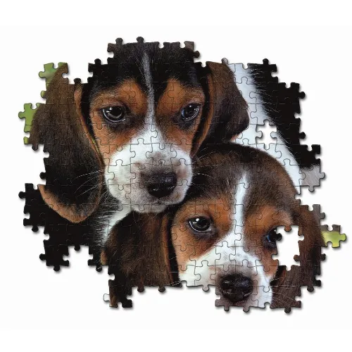 Artikelbild