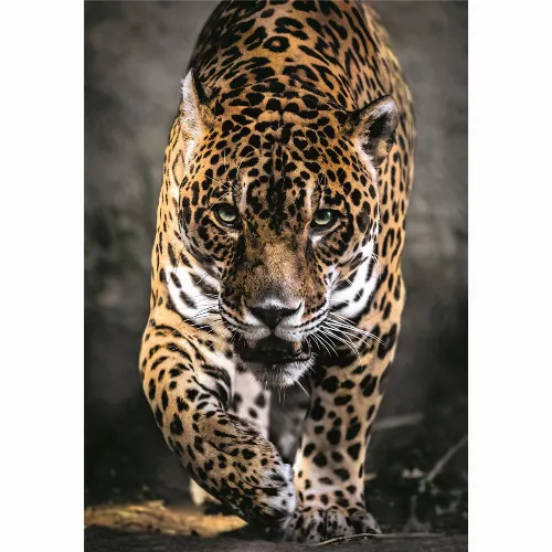 Clementoni Pussel 1000 Pcs CB High Quality Collection Walk Of The Jaguar