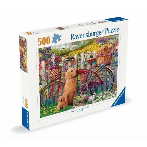 Artikelbild