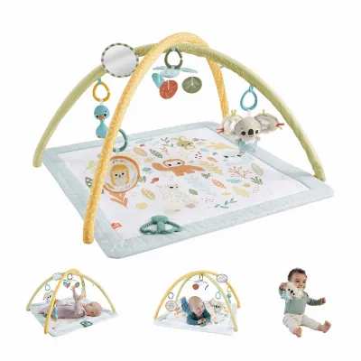 Fisher-Price Fisher Price Nyfödd - Simply Senses nyfödd Gym (HRB15)