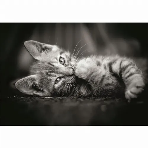 Clementoni Pussel 1000 Pcs CB High Quality Collection Kitty