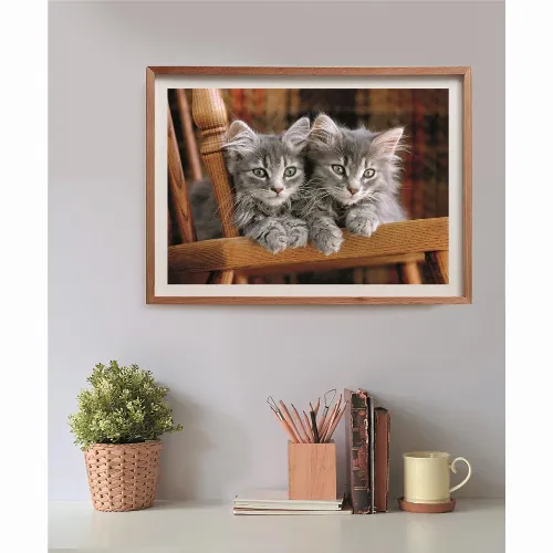 Clementoni Pussel 500 Pcs CB High Quality Collection Kittens